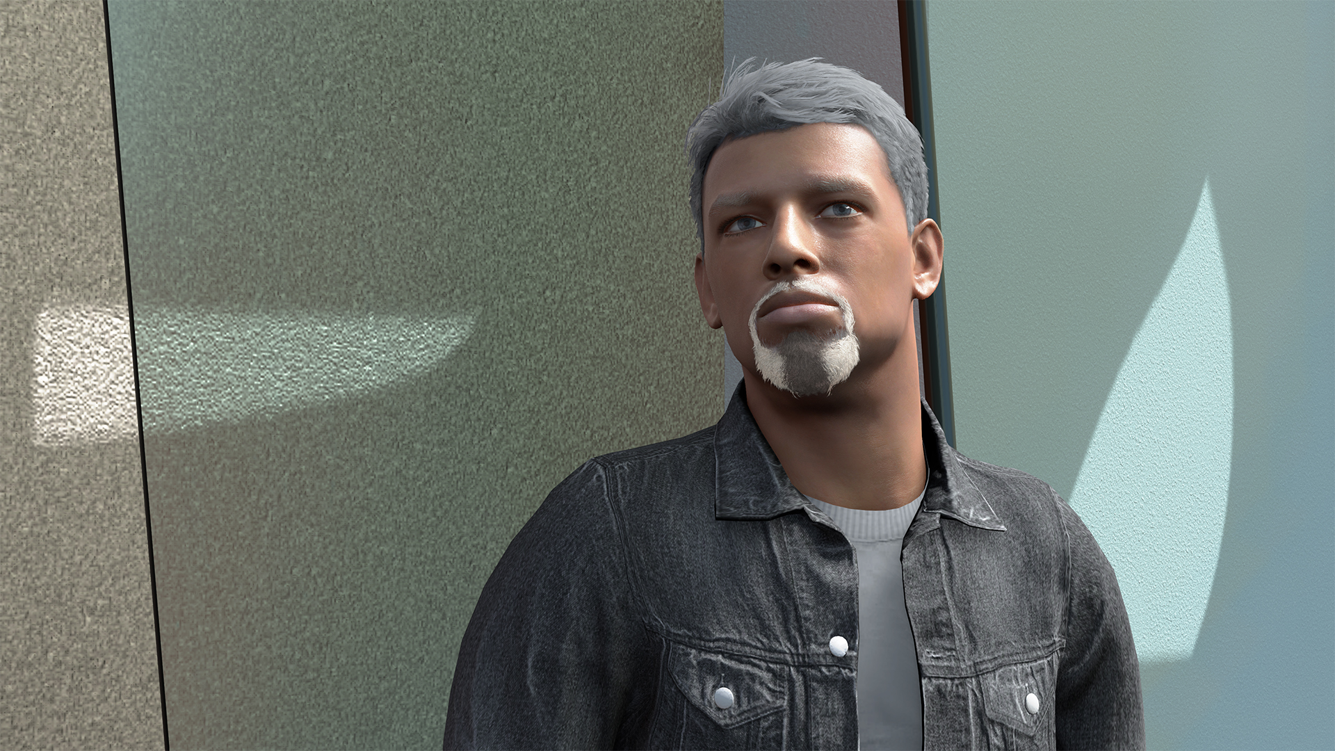 Two-Tone Goatee Two-Tone Goatee
