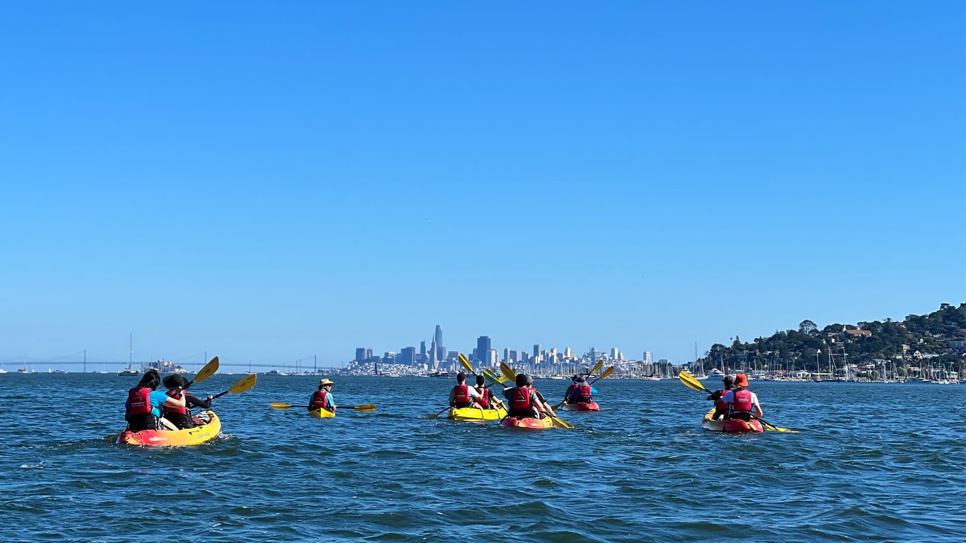 Cloud Chamber Cloud Chamber