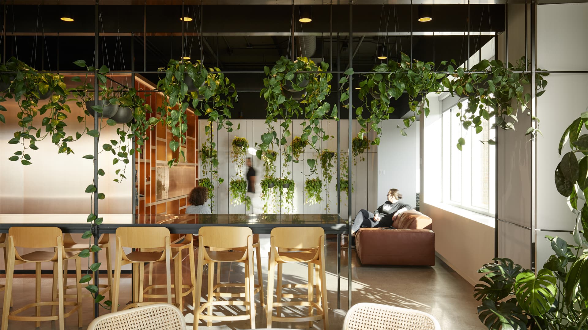 Cloud Chamber Cloud Chamber