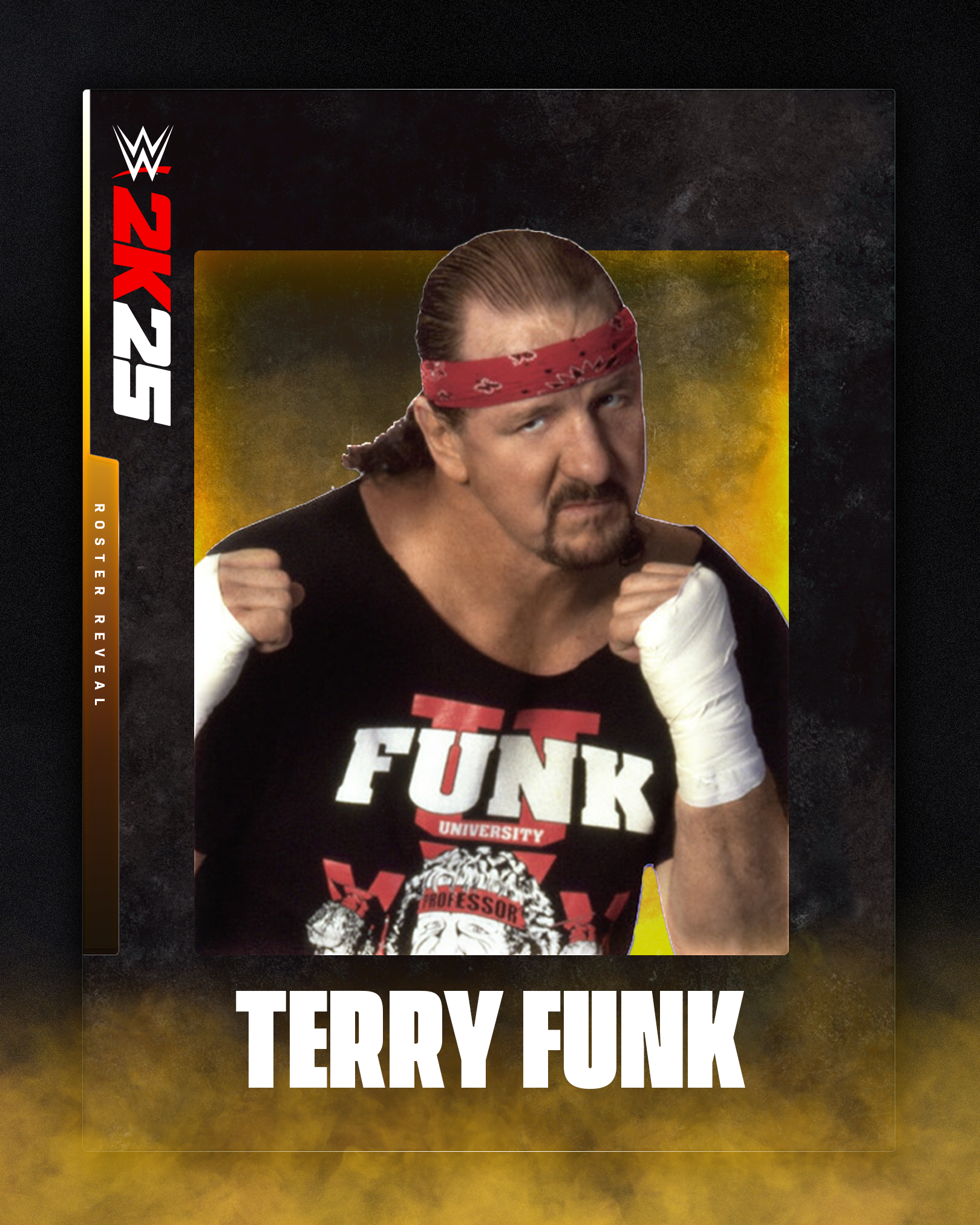 Terry Funk