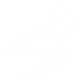 Wildfire