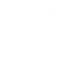 Ordained Hammer