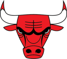 CHICAGO BULLS