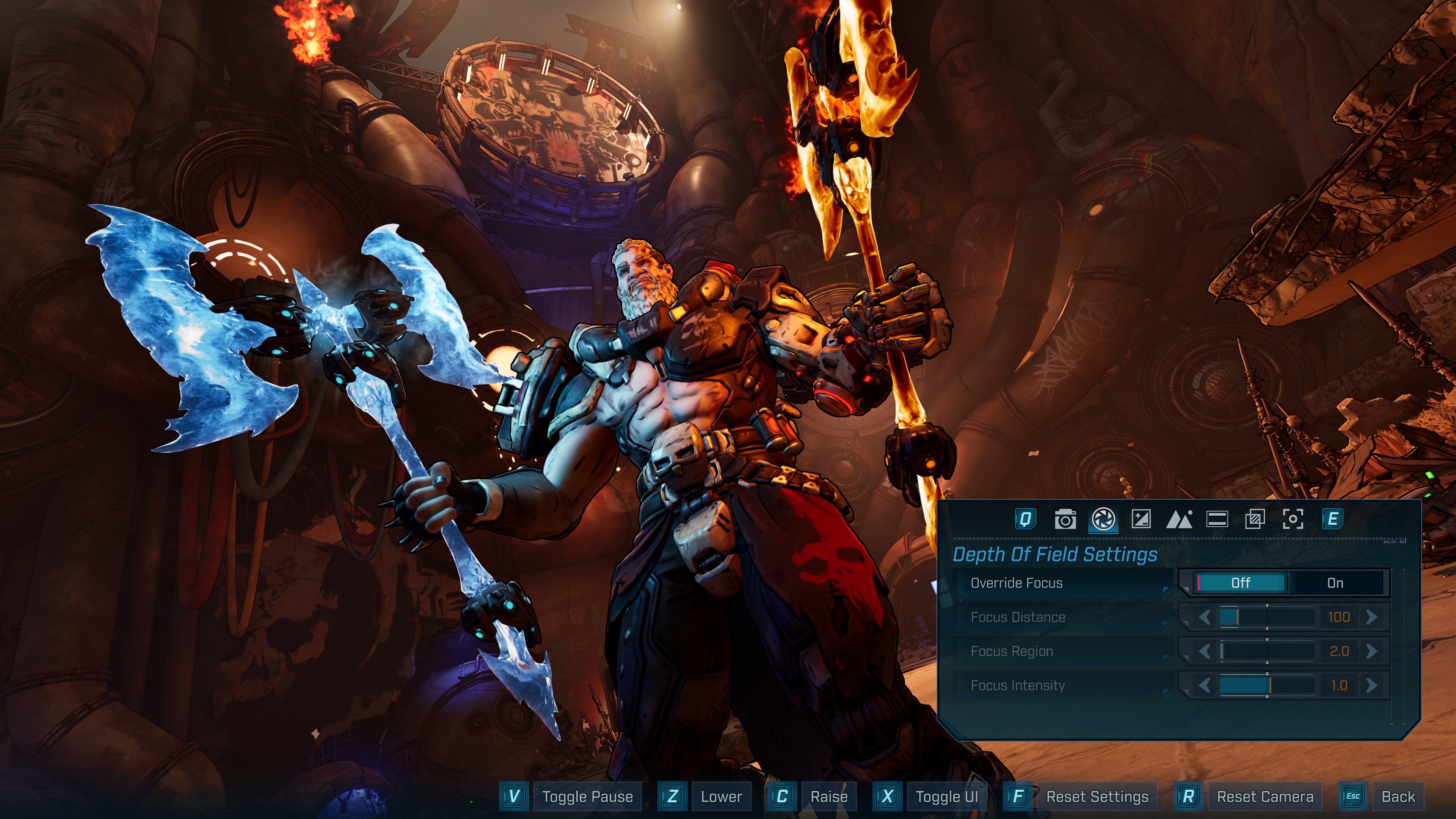 Dof settings default