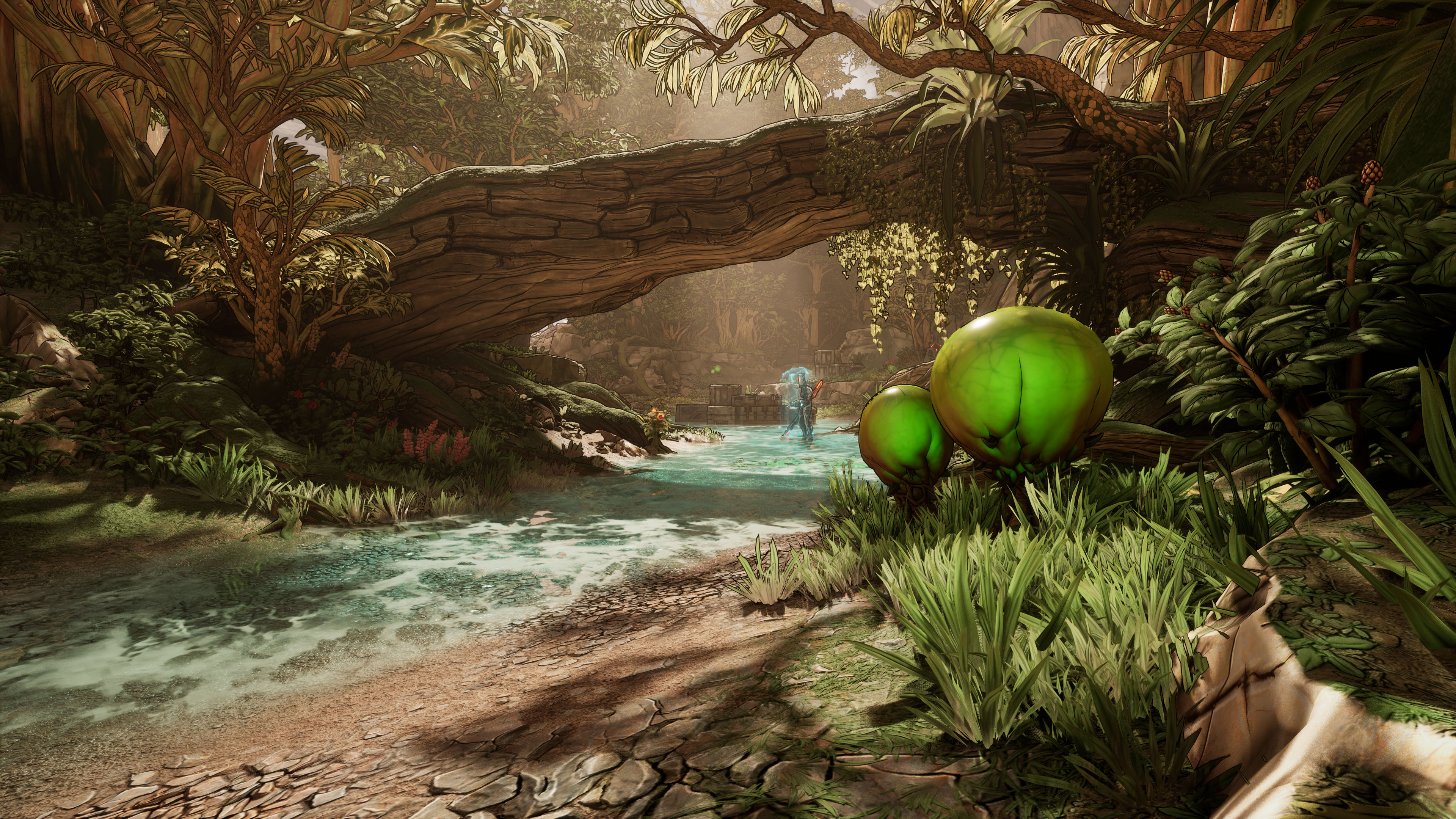 Environment