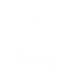 Battleborn
